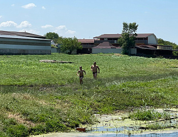 �������� �� ����� ������������������ �������������� ������ �������� ��� �������, ��� ��������� �������